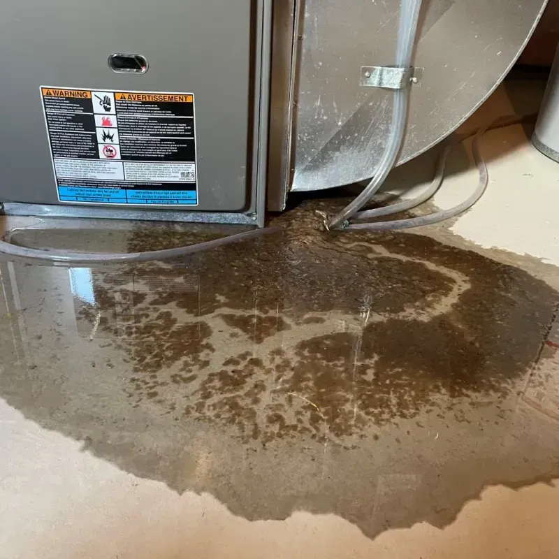 Appliance Leak Cleanup in Weston, MO